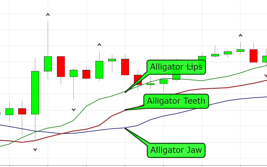 Alligator indicator strategy