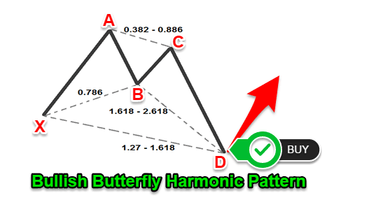 Forex harmonic trading system