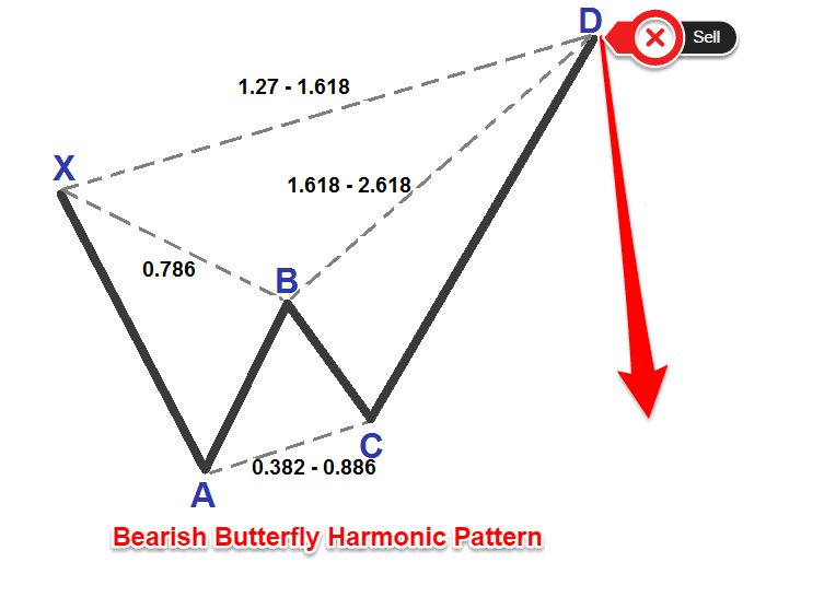 Contoh Pola Harmonik Butterfly