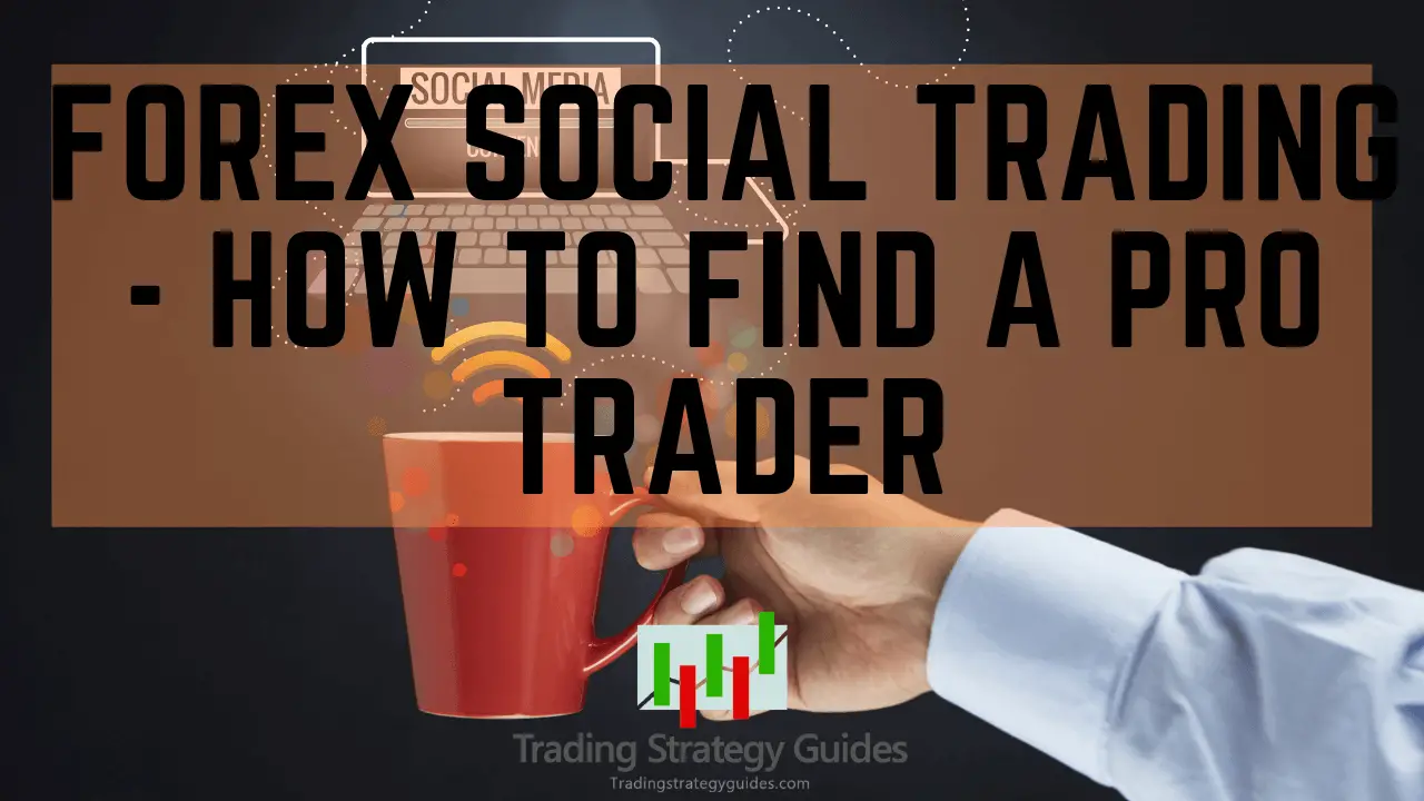 Forex social trading