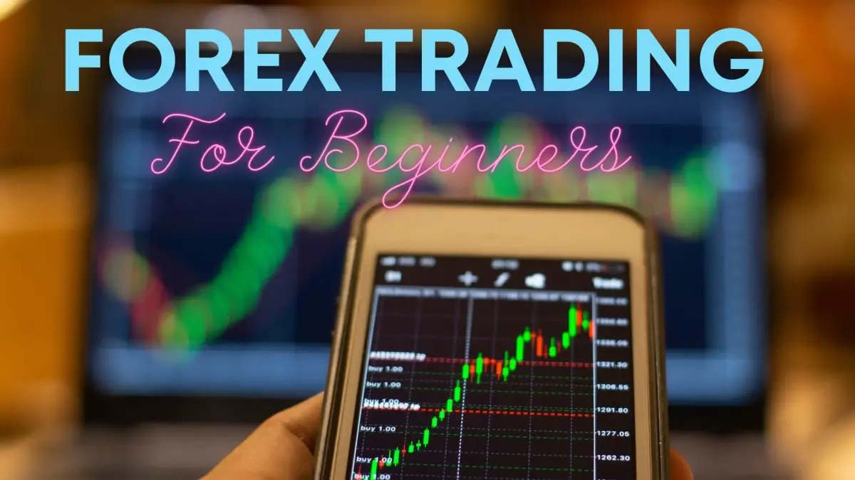 Learn Forex Trading for Beginners: Best Forex Guide 2023
